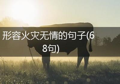 形容火灾无情的句子(68句)