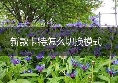 新款卡特怎么切换模式