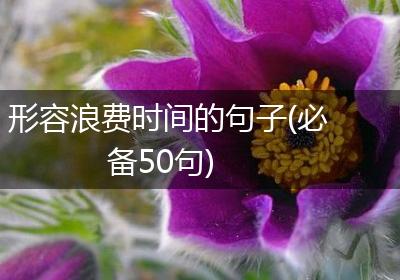 形容浪费时间的句子(必备50句)