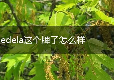 edela这个牌子怎么样