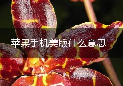 苹果手机美版什么意思
