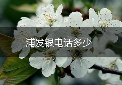 浦发银电话多少