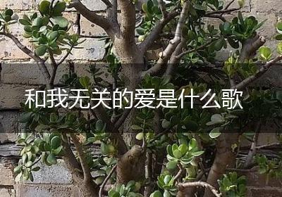和我无关的爱是什么歌