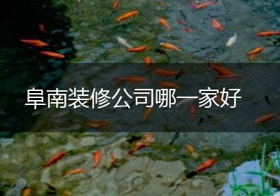阜南装修公司哪一家好