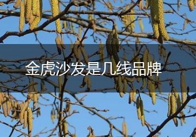 金虎沙发是几线品牌