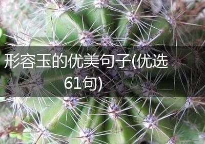 形容玉的优美句子(优选61句)