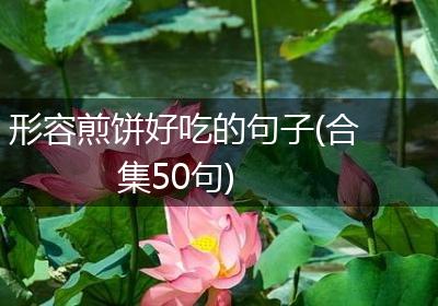 形容煎饼好吃的句子(合集50句)