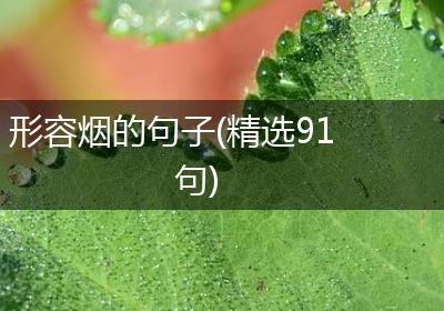 形容烟的句子(精选91句)