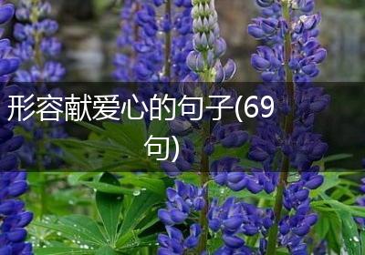 形容献爱心的句子(69句)
