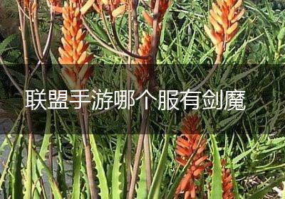 联盟手游哪个服有剑魔
