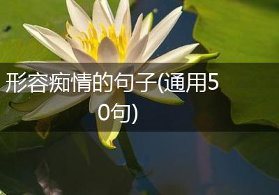 形容痴情的句子(通用50句)