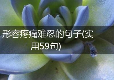 形容疼痛难忍的句子(实用59句)