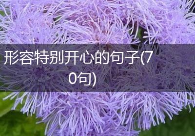 形容特别开心的句子(70句)