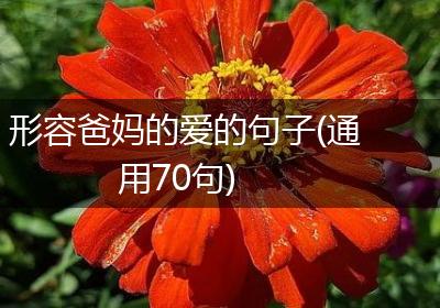 形容爸妈的爱的句子(通用70句)