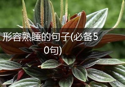 形容熟睡的句子(必备50句)