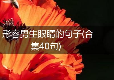 形容男生眼睛的句子(合集40句)