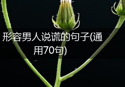 形容男人说谎的句子(通用70句)