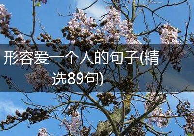 形容爱一个人的句子(精选89句)