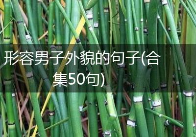 形容男子外貌的句子(合集50句)