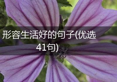 形容生活好的句子(优选41句)