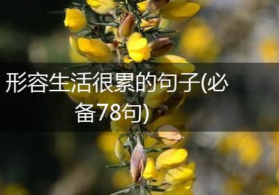 形容生活很累的句子(必备78句)