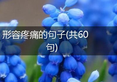 形容疼痛的句子(共60句)