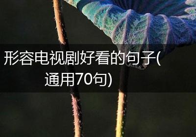 形容电视剧好看的句子(通用70句)