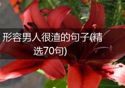 形容男人很渣的句子(精选70句)