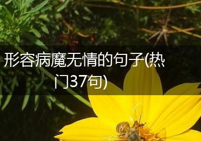 形容病魔无情的句子(热门37句)