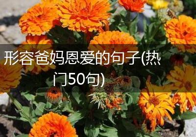 形容爸妈恩爱的句子(热门50句)