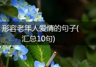 形容老年人爱情的句子(汇总10句)