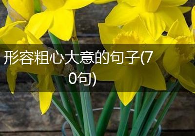 形容粗心大意的句子(70句)