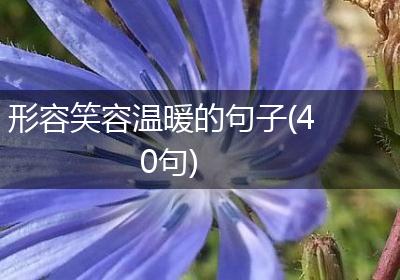 形容笑容温暖的句子(40句)