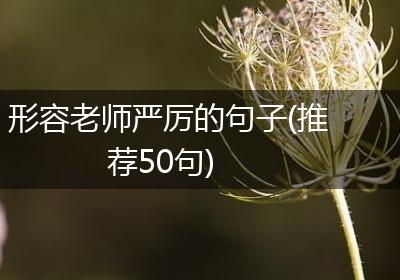 形容老师严厉的句子(推荐50句)