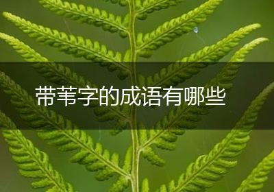 带苇字的成语有哪些