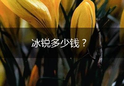 冰锐多少钱？