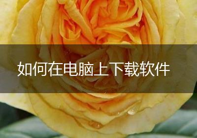 如何在电脑上下载软件
