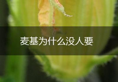 麦基为什么没人要