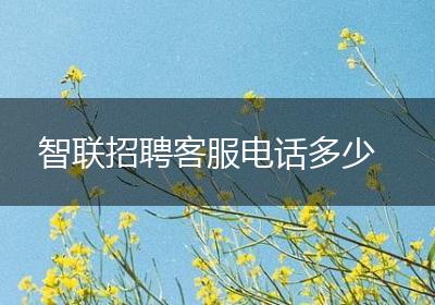 智联招聘客服电话多少