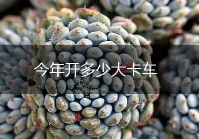 今年开多少大卡车