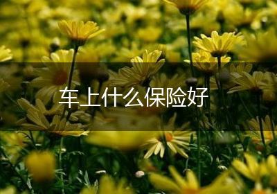 车上什么保险好