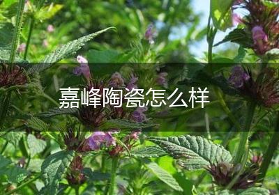 嘉峰陶瓷怎么样