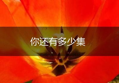 你还有多少集