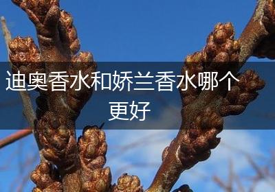 迪奥香水和娇兰香水哪个更好