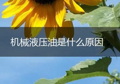 机械液压油是什么原因