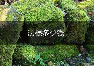 法棍多少钱