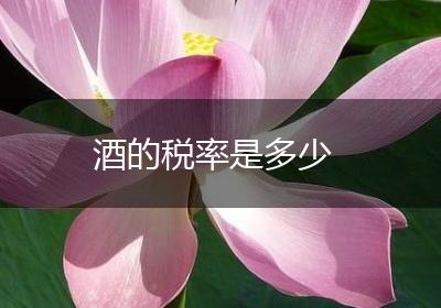 酒的税率是多少