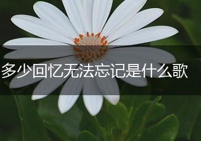 多少回忆无法忘记是什么歌