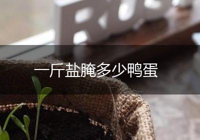 一斤盐腌多少鸭蛋