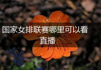 国家女排联赛哪里可以看直播